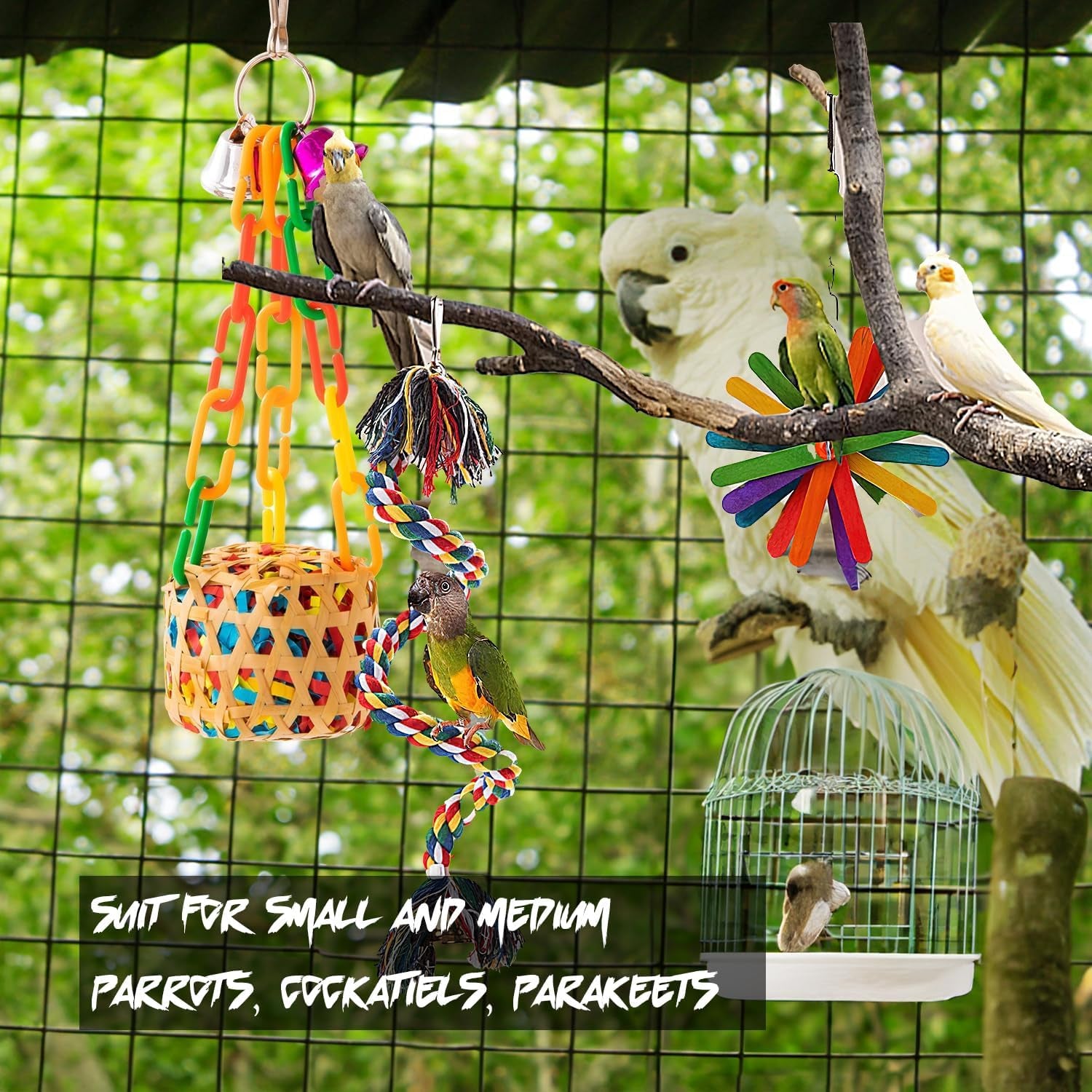 Bring Joy to Your Feathered Friends with Our Bird Toy Collection!