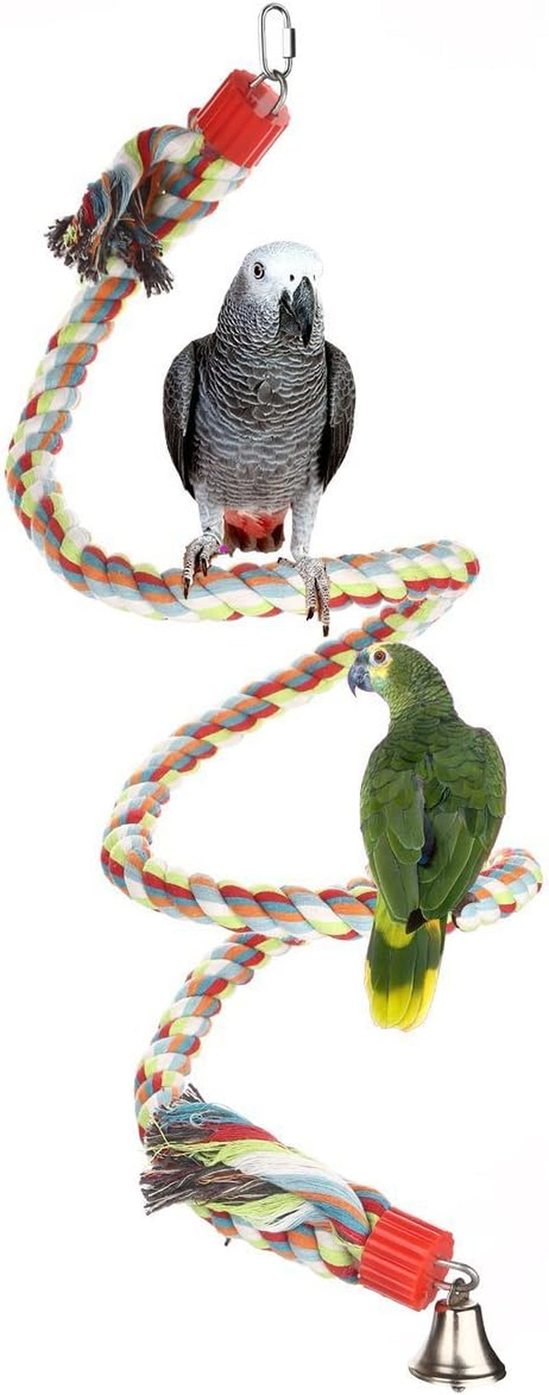 Parrot Playground: The 63-Inch Rope of Avian Shenanigans!