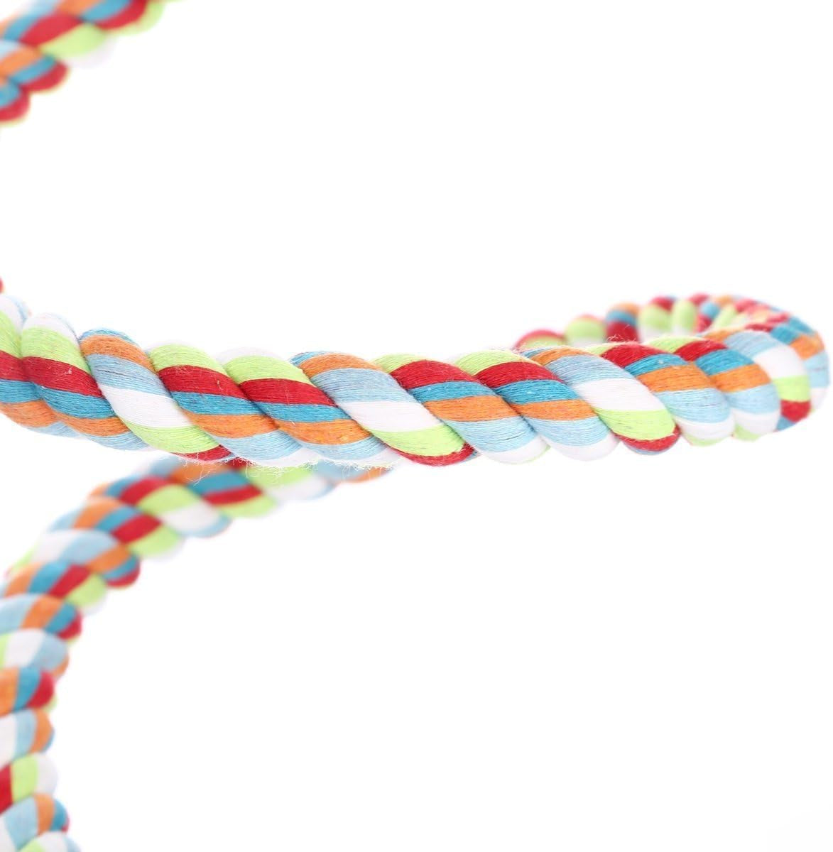 Parrot Playground: The 63-Inch Rope of Avian Shenanigans!