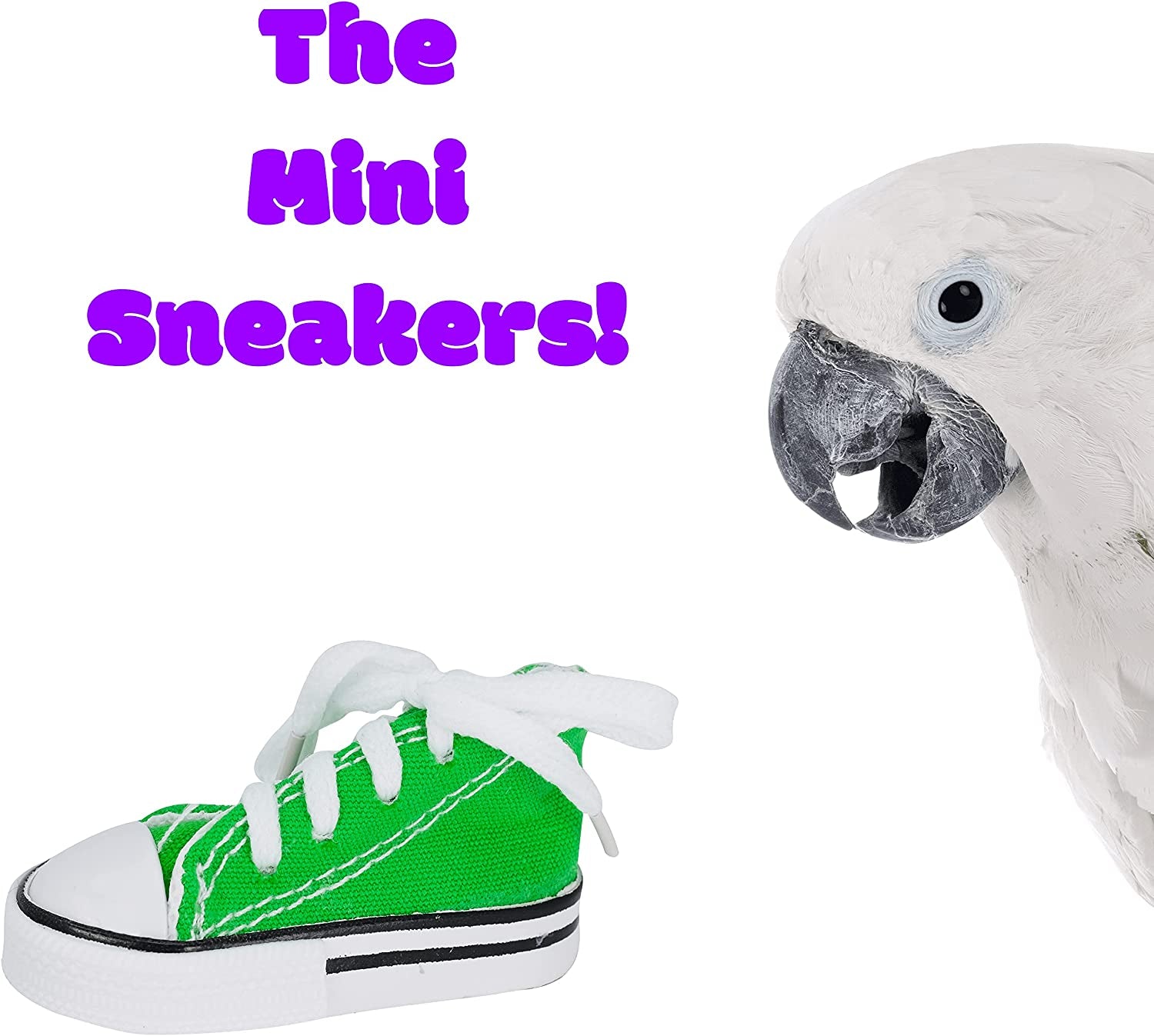 Tiny Treadmills for Feathered Feet: Quirky Kicks for Parrots Who Want to Strut Their Stuff!