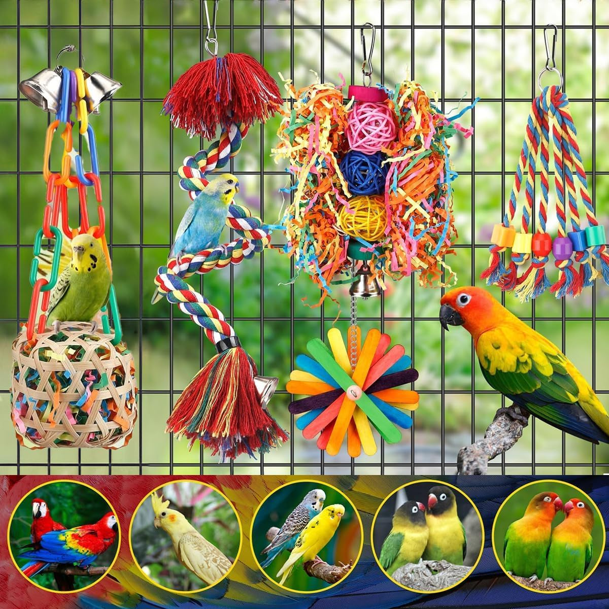 Bring Joy to Your Feathered Friends with Our Bird Toy Collection!