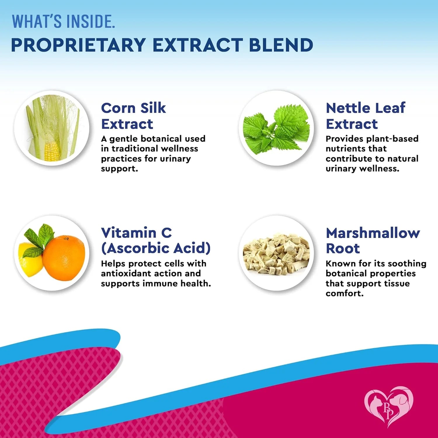 Cat & Dog Urinary Tract Infection Treatment & Natural UTI Cranberry