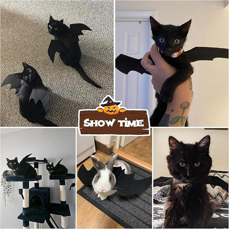 Pet Cat Bat Wings for Halloween Party Decoration, Puppy Collar Leads Cosplay Bat Costume, Cute Puppy Cat Dress up Accessories, Halloween'S Day Gift