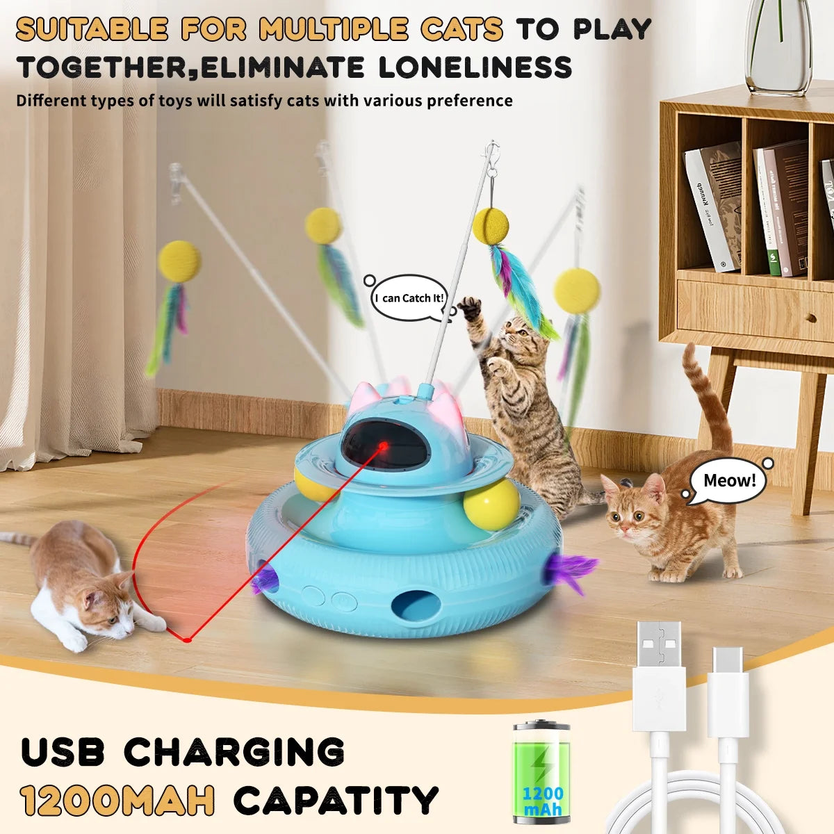 Hours Of Fun For Your Cat