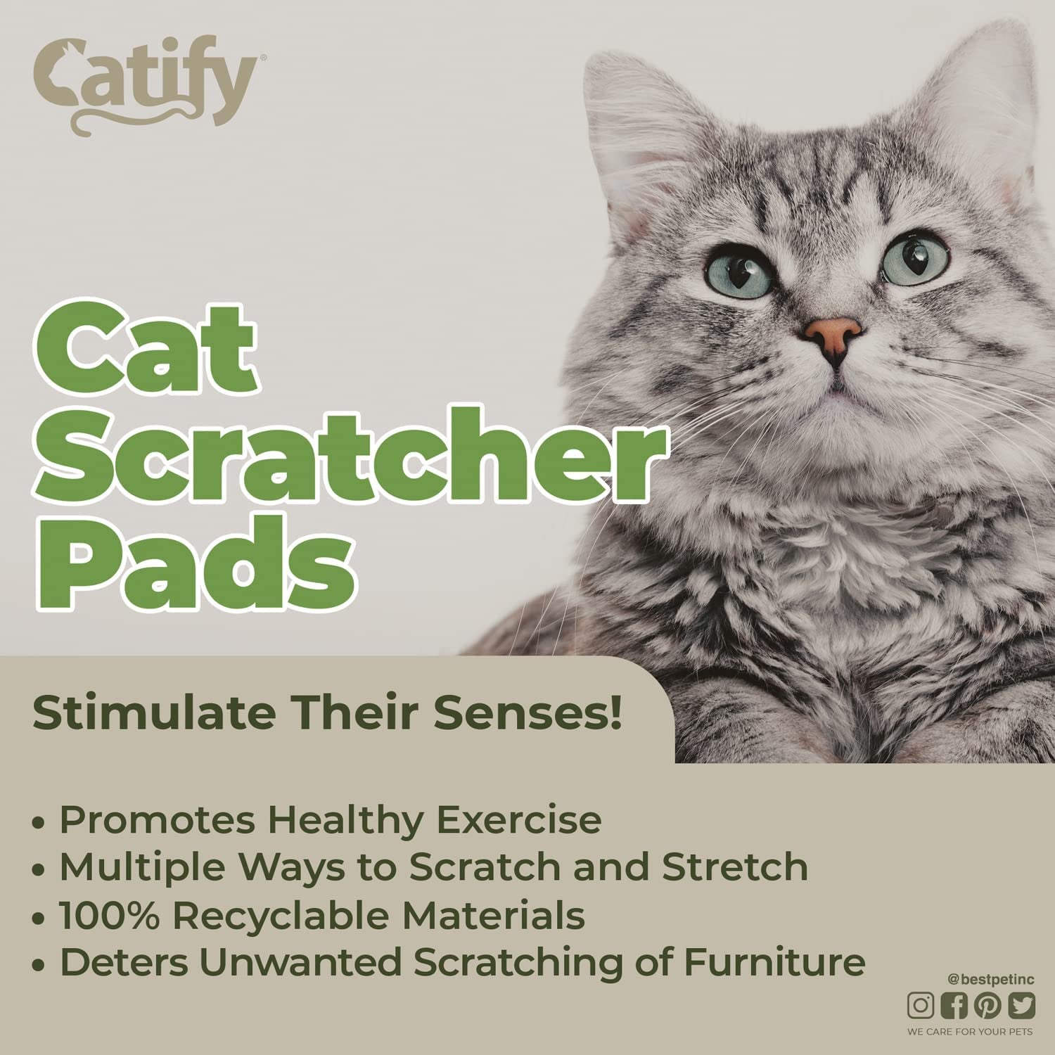Paw-some Purr-fect Cat Scratchin' Party Pack - Triple Trouble Edition!