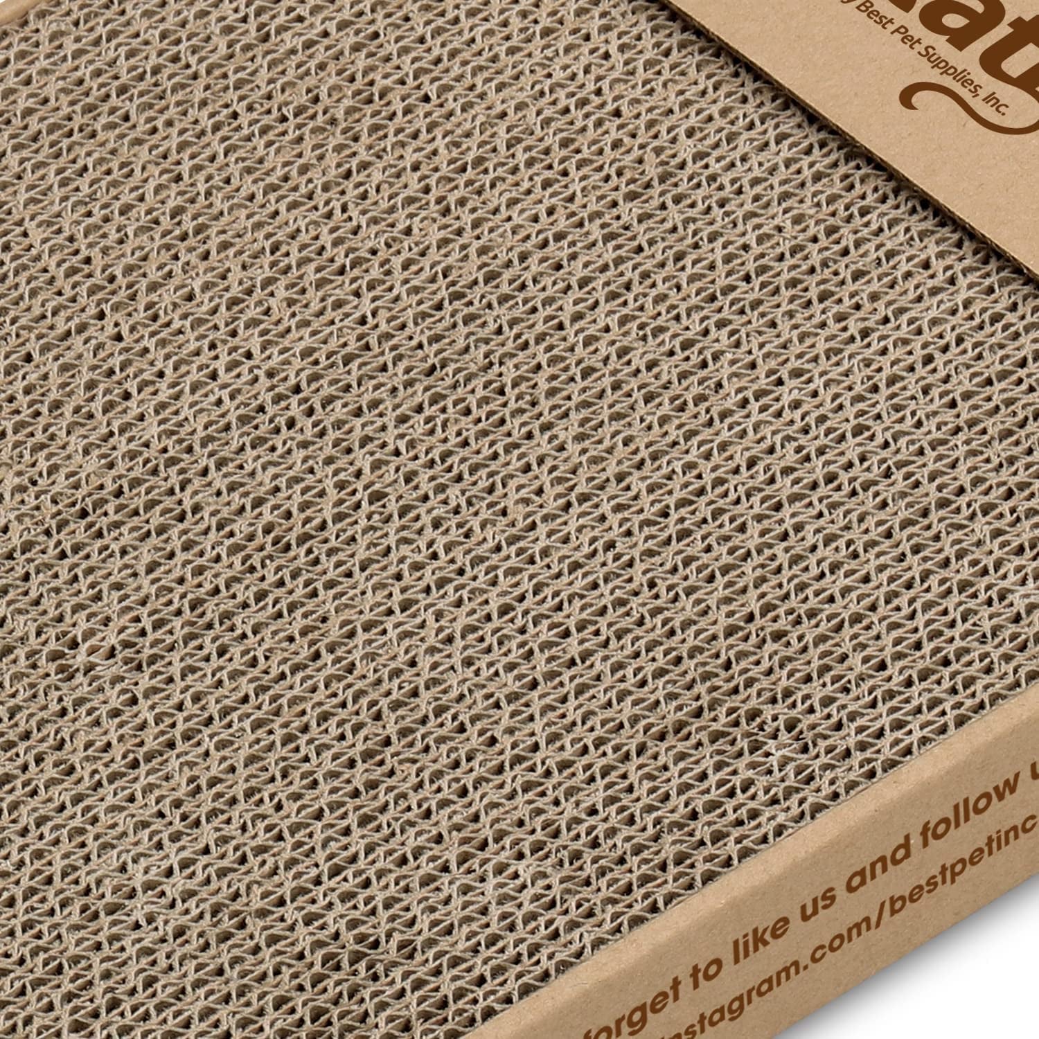 Paw-some Purr-fect Cat Scratchin' Party Pack - Triple Trouble Edition!