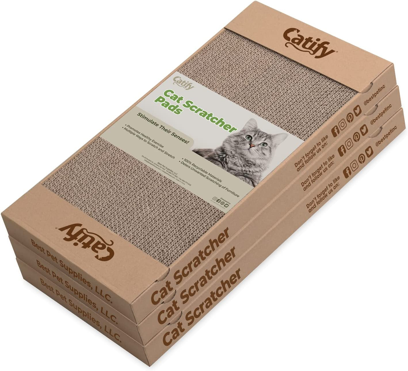 Paw-some Purr-fect Cat Scratchin' Party Pack - Triple Trouble Edition!