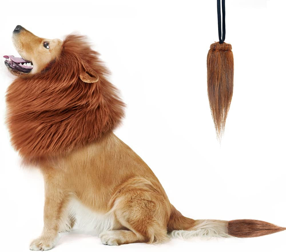 Let your dog ROAR this halloween. 