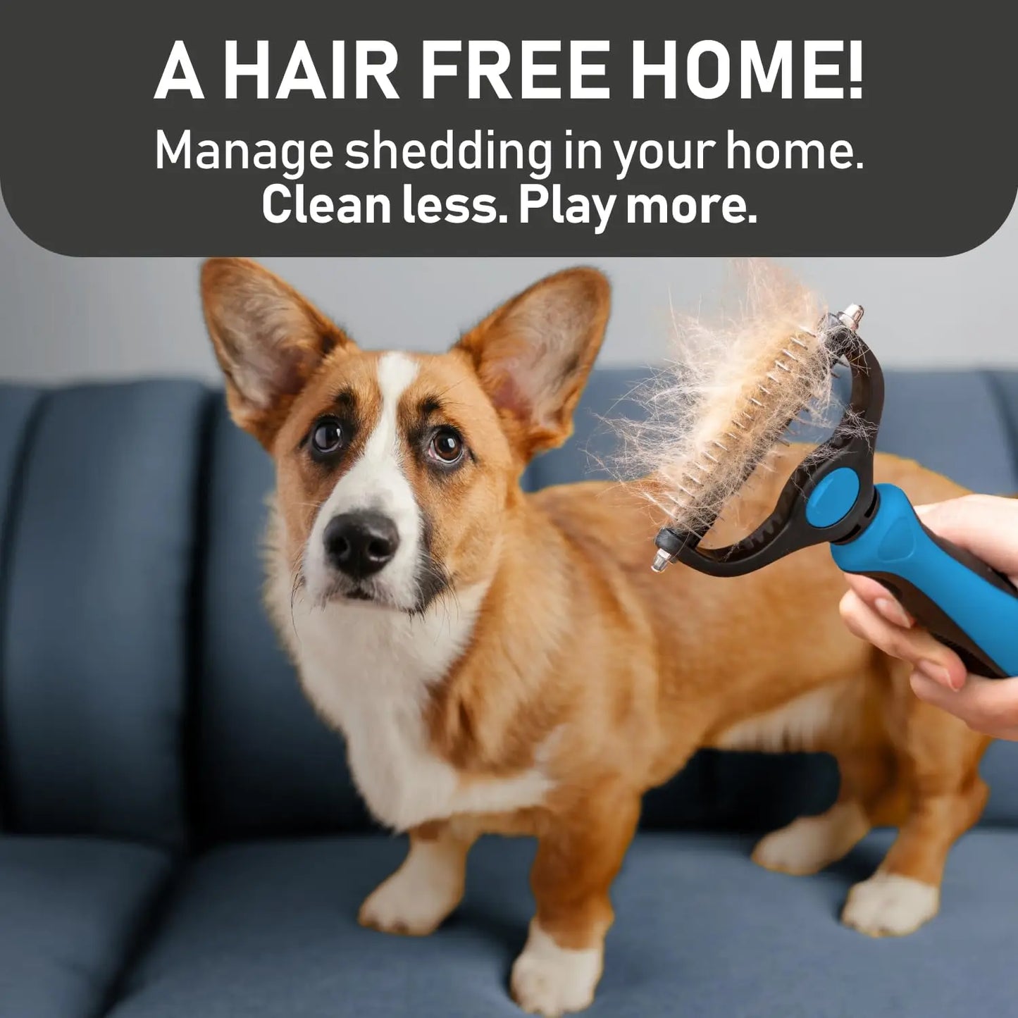Pet Grooming Brush and 2X Grooming Gloves Combo 