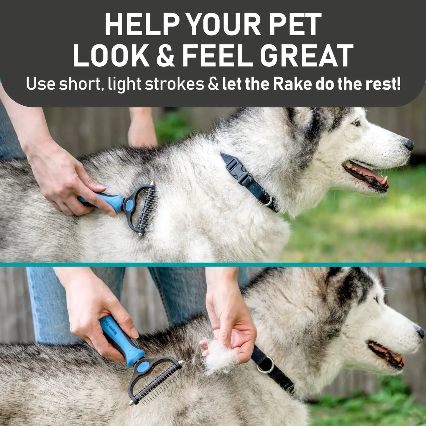 Pet Grooming Brush and 2X Grooming Gloves Combo 