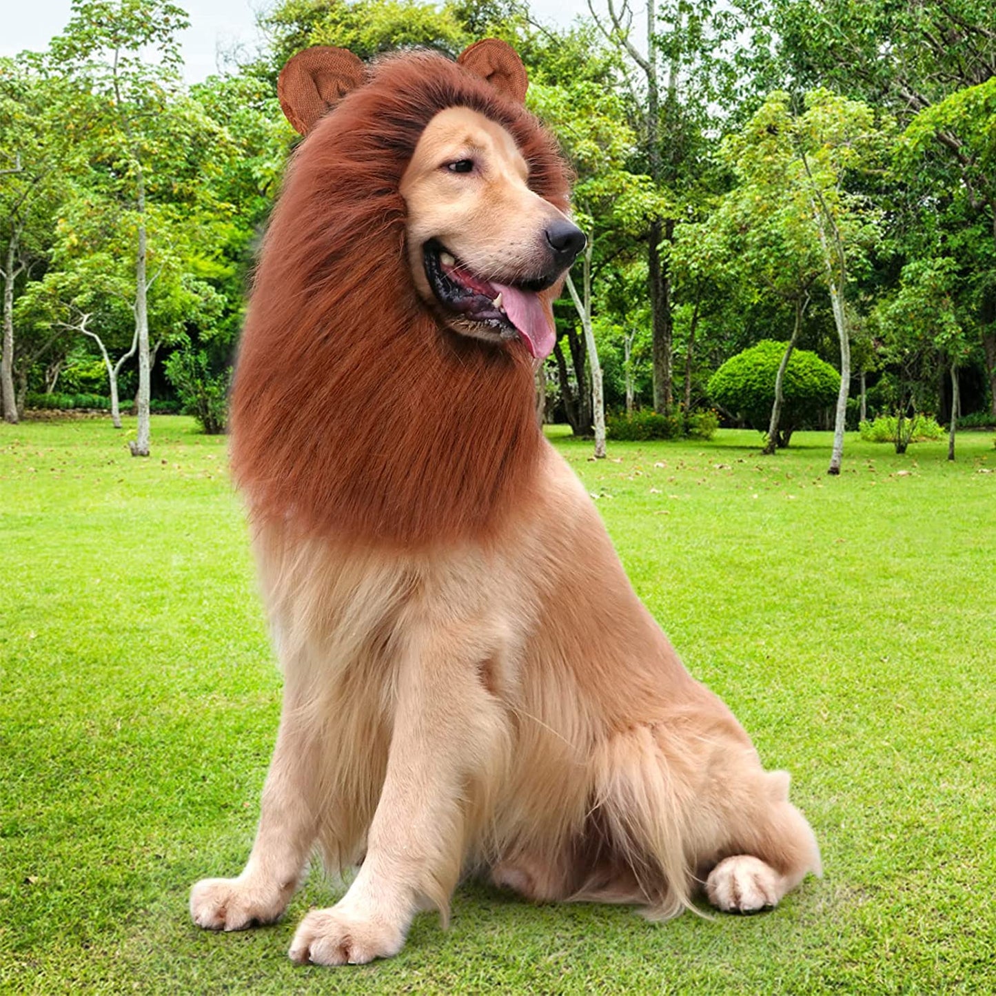 Let your dog ROAR this halloween. 