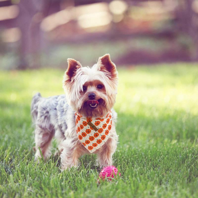 Lionet Paws Halloween Dog Bandana - Fashionable Soft Cotton Pumpkin Scarf for Small to Large Dogs