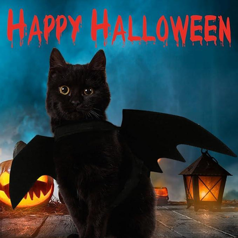 Pet Cat Bat Wings for Halloween Party Decoration, Puppy Collar Leads Cosplay Bat Costume, Cute Puppy Cat Dress up Accessories, Halloween'S Day Gift