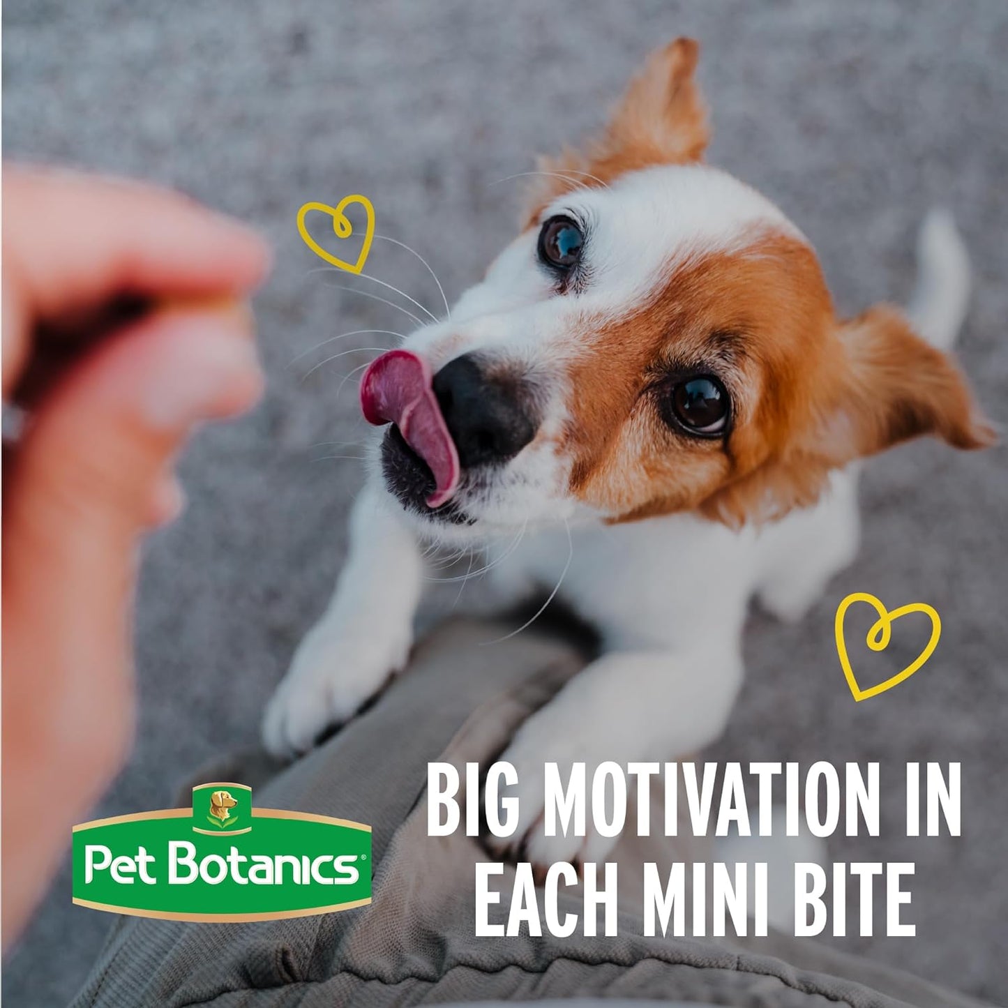 Duckin' Delicious Bacon Bites: A 200-Treat Bag of Chewy Goodness for Your Pup's Training Triumphs!